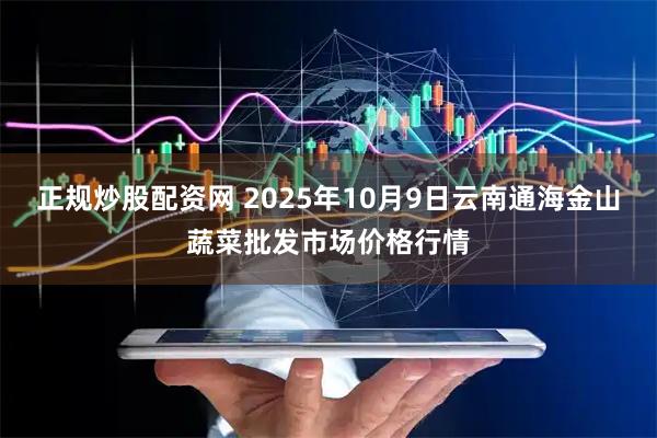 正规炒股配资网 2025年10月9日云南通海金山蔬菜批发市场价格行情